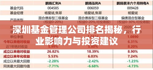 深圳基金管理公司排名揭秘，行业影响力与投资建议