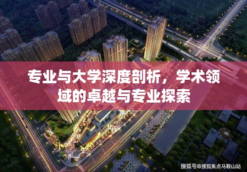 专业与大学深度剖析,学术领域的卓越与专业探索