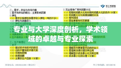 专业与大学深度剖析,学术领域的卓越与专业探索