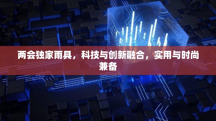 两会独家雨具,科技与创新融合,实用与时尚兼备