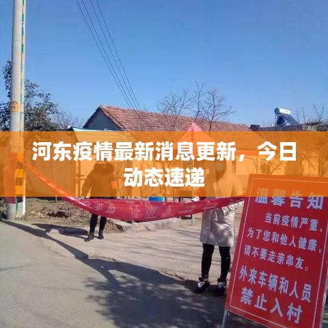 河东疫情最新消息更新，今日动态速递