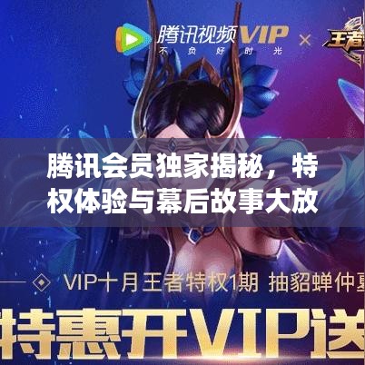 腾讯会员独家揭秘,特权体验与幕后故事大放送