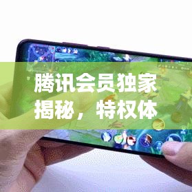 腾讯会员独家揭秘,特权体验与幕后故事大放送