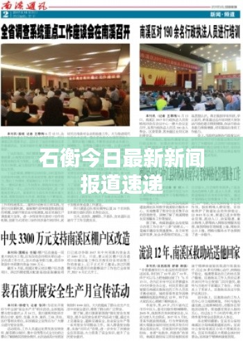石衡今日最新新闻报道速递