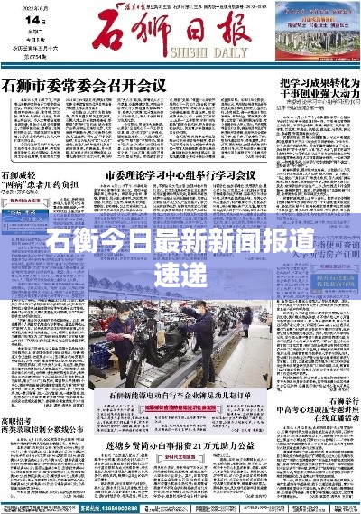石衡今日最新新闻报道速递