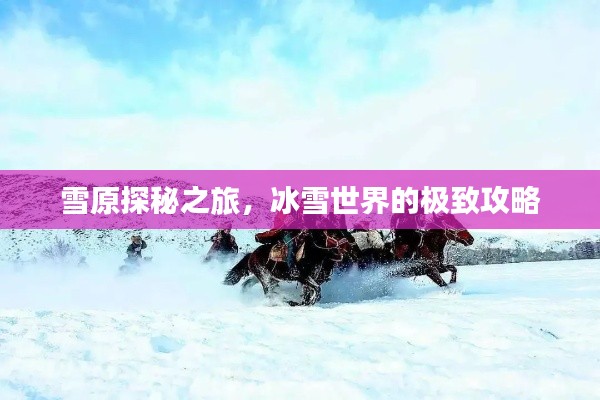 雪原探秘之旅，冰雪世界的极致攻略
