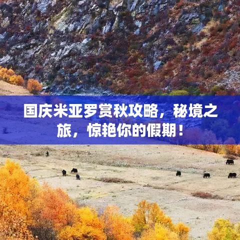 国庆米亚罗赏秋攻略，秘境之旅，惊艳你的假期！
