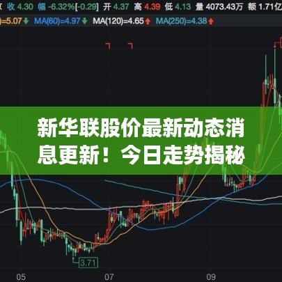 新华联股价最新动态消息更新！今日走势揭秘！