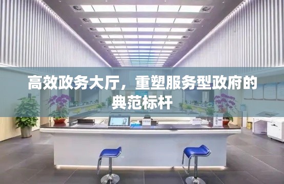 高效政务大厅，重塑服务型政府的典范标杆