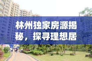 林州独家房源揭秘，探寻理想居所的新机遇