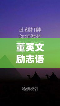 董英文励志语录壁纸,智慧之光,照亮人生之路!