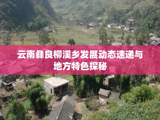 云南彝良柳溪乡发展动态速递与地方特色探秘