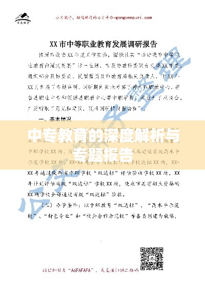 中专教育的深度解析与专题报告