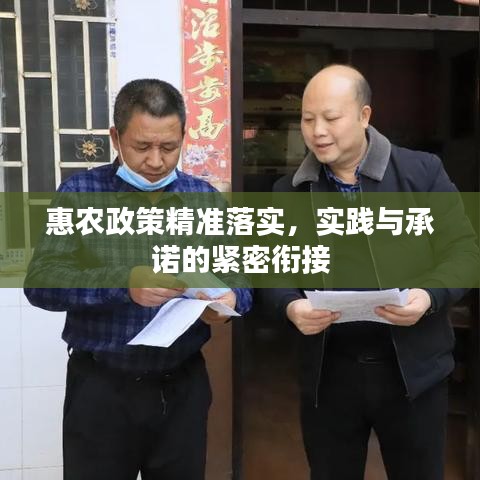 惠农政策精准落实，实践与承诺的紧密衔接