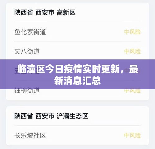 临潼区今日疫情实时更新，最新消息汇总