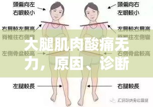 大腿肌肉酸痛无力，原因、诊断及治疗方法全解析
