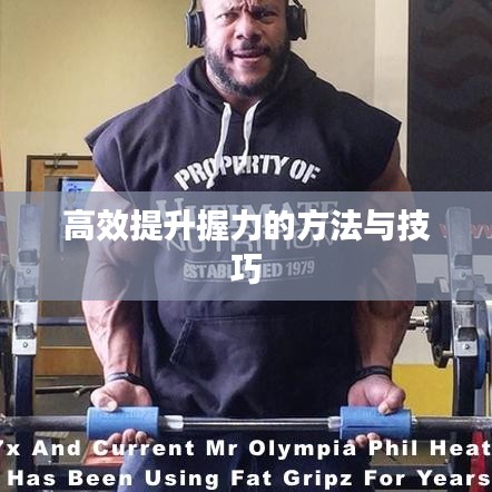 高效提升握力的方法与技巧
