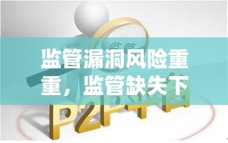 监管漏洞风险重重，监管缺失下的风险挑战与应对之道