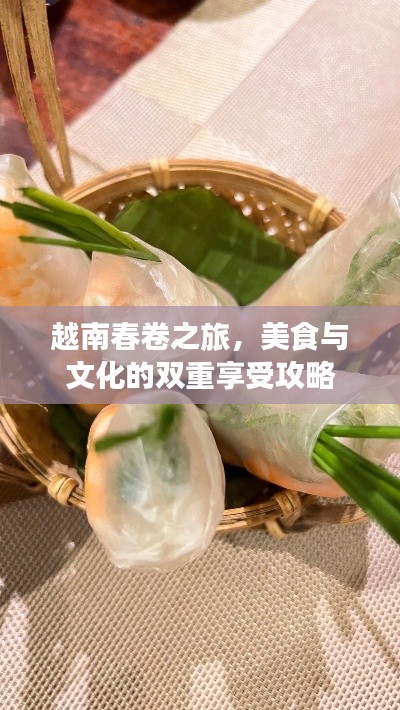 越南春卷之旅，美食与文化的双重享受攻略