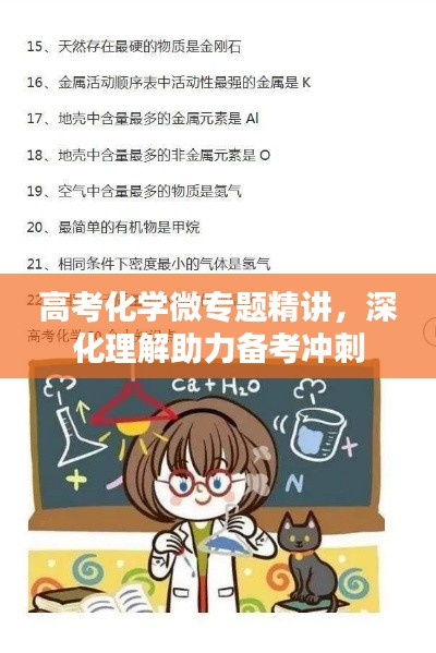 高考化学微专题精讲，深化理解助力备考冲刺