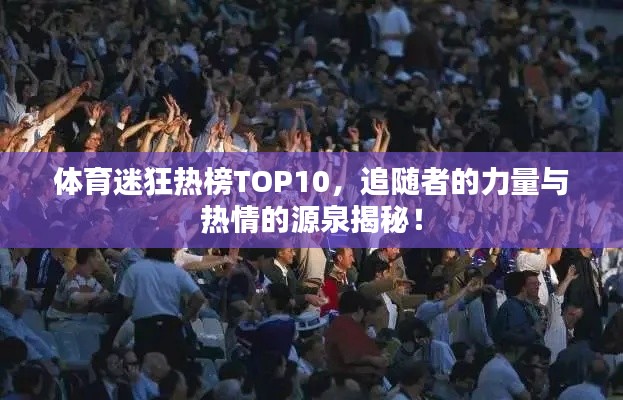 体育迷狂热榜TOP10,追随者的力量与热情的源泉揭秘!