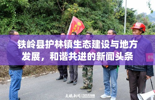 铁岭县护林镇生态建设与地方发展，和谐共进的新闻头条