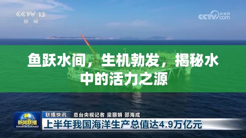 手不释卷 第2页