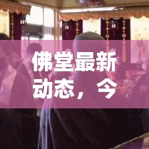 佛堂最新动态，今日消息一览