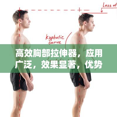 高效胸部拉伸器，应用广泛，效果显著，优势明显！