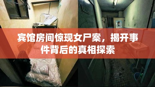 宾馆房间惊现女尸案，揭开事件背后的真相探索