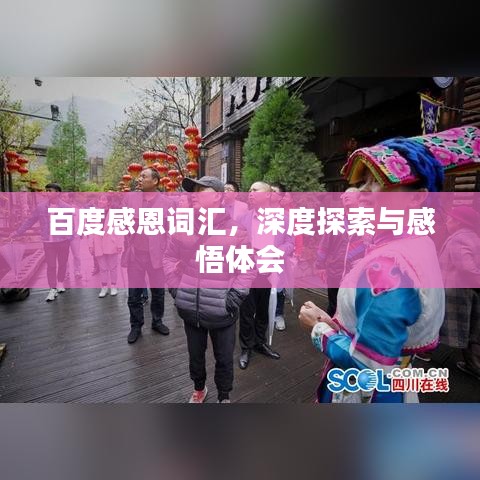 百度感恩词汇，深度探索与感悟体会