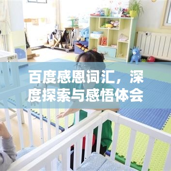百度感恩词汇,深度探索与感悟体会
