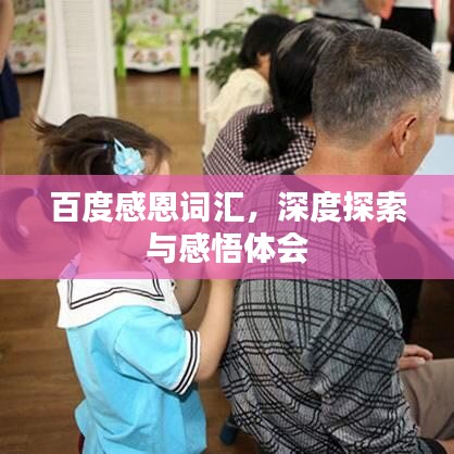 百度感恩词汇,深度探索与感悟体会