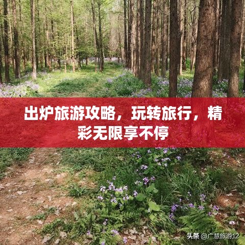 出炉旅游攻略,玩转旅行,精彩无限享不停