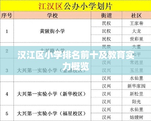 汉江区小学排名前十及教育实力概览