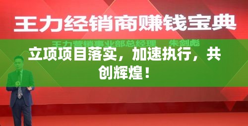 立项项目落实，加速执行，共创辉煌！