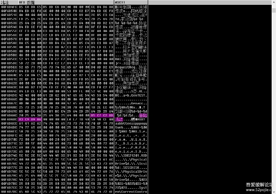 gd辅助官方下载,最新数据解释定义 WP版_v9.890