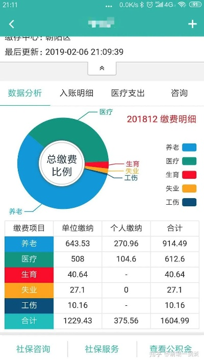 官方社保查询软件下载,可靠分析解析说明|Surface_v5.268