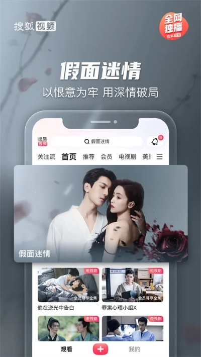 搜狐视频最新版本下载,现状解析说明-影像版_v3.530