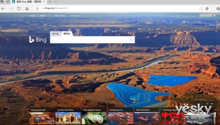 bing搜索官方下载,实地数据验证设计|纪念版_v10.143