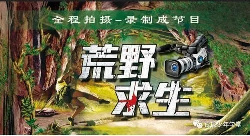 荒野求生激活码在那或齐鲁融易汇官方下载,全面分析数据执行&amp;nShop_v10.814