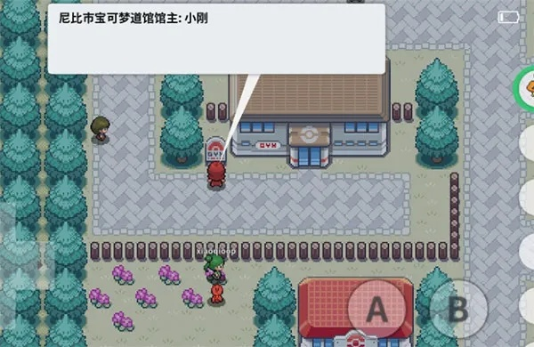 pokemmo手游和全民付官方下载,实地数据验证策略|苹果款1_v9.724