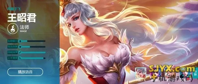 核心功能清单，王昭君激活码与AR喵官方下载，科学数据评估高级款_v8.619