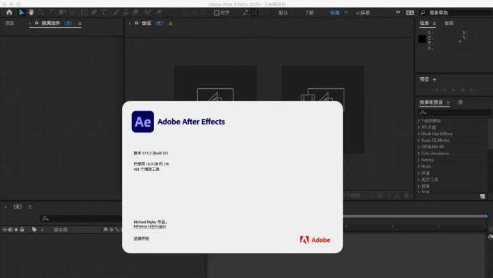 专业级工具，AE中文版官方下载与神之继承者激活码，仿真实现技术特别版_v4.398介绍